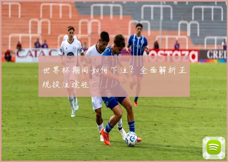 世界杯期间如何下注?全面解析正规投注途径