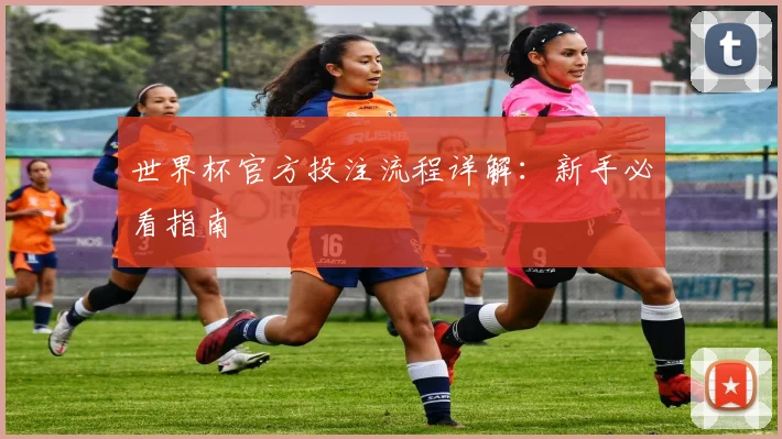 世界杯官方投注流程详解：新手必看指南