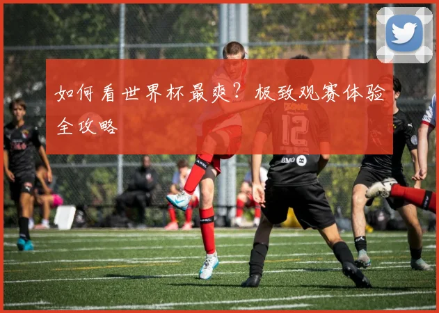 如何看世界杯最爽？极致观赛体验全攻略