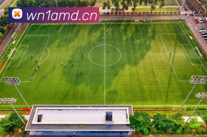 多媒体互动体验